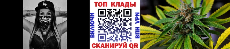 ГАШ Новодвинск