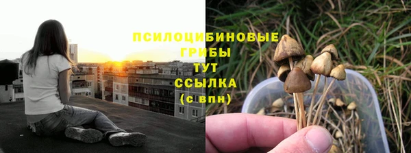 Альфа ПВП Покачи